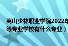 嵩山少林职业学院2022年单招人数（2022登封少林弘武中等专业学校有什么专业）