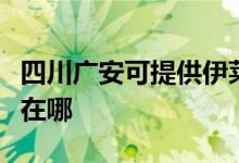 四川广安可提供伊莱克斯燃气灶维修服务地址在哪