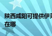 陕西咸阳可提供伊莱克斯燃气灶维修服务地址在哪