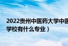 2022贵州中医药大学中医研究生线（2022贵州中医药职业学校有什么专业）