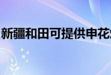 新疆和田可提供申花燃气灶维修服务地址在哪