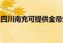 四川南充可提供金帝燃气灶维修服务地址在哪