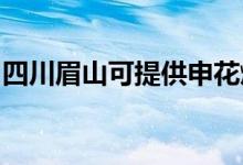 四川眉山可提供申花燃气灶维修服务地址在哪