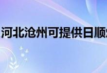 河北沧州可提供日顺燃气灶维修服务地址在哪