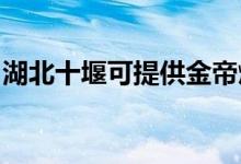 湖北十堰可提供金帝燃气灶维修服务地址在哪