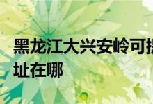 黑龙江大兴安岭可提供统帅热水器维修服务地址在哪