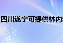 四川遂宁可提供林内热水器维修服务地址在哪