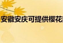 安徽安庆可提供樱花热水器维修服务地址在哪