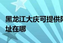 黑龙江大庆可提供阿里斯顿热水器维修服务地址在哪