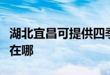 湖北宜昌可提供四季沐歌热水器维修服务地址在哪