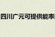 四川广元可提供能率热水器维修服务地址在哪