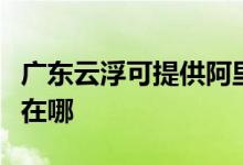 广东云浮可提供阿里斯顿热水器维修服务地址在哪