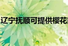 辽宁抚顺可提供樱花热水器维修服务地址在哪