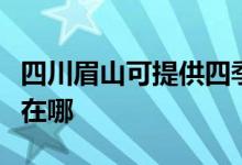 四川眉山可提供四季沐歌热水器维修服务地址在哪