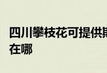 四川攀枝花可提供斯狄渢热水器维修服务地址在哪