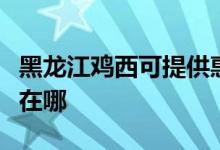 黑龙江鸡西可提供惠而浦热水器维修服务地址在哪