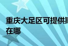 重庆大足区可提供斯狄渢热水器维修服务地址在哪