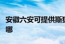 安徽六安可提供斯狄渢热水器维修服务地址在哪