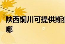 陕西铜川可提供斯狄渢热水器维修服务地址在哪