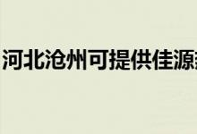 河北沧州可提供佳源热水器维修服务地址在哪