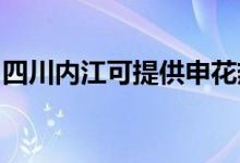 四川内江可提供申花热水器维修服务地址在哪