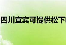 四川宜宾可提供松下咖啡机维修服务地址在哪