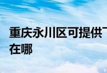 重庆永川区可提供飞利浦咖啡机维修服务地址在哪