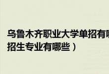 乌鲁木齐职业大学单招有哪些专业（2022新疆商贸经济学校招生专业有哪些）