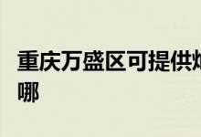 重庆万盛区可提供灿坤电烤箱维修服务地址在哪