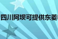 四川阿坝可提供东菱电烤箱维修服务地址在哪