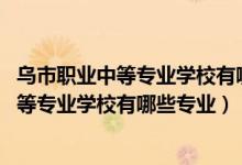 乌市职业中等专业学校有哪些专业（2022乌鲁木齐市职业中等专业学校有哪些专业）