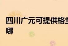 四川广元可提供格兰仕电烤箱维修服务地址在哪