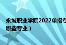 永城职业学院2022单招专业（2022永城市中等专业学校有哪些专业）