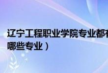 辽宁工程职业学院专业都有什么（2022新疆安装工程学校有哪些专业）