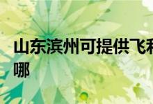 山东滨州可提供飞利浦电烤箱维修服务地址在哪