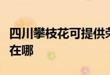 四川攀枝花可提供荣事达电烤箱维修服务地址在哪