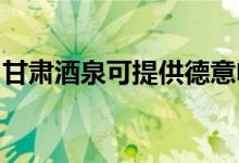 甘肃酒泉可提供德意电烤箱维修服务地址在哪