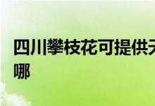 四川攀枝花可提供天际面包机维修服务地址在哪