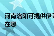 河南洛阳可提供伊莱克斯面包机维修服务地址在哪