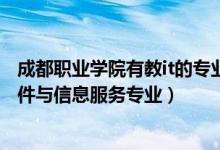 成都职业学院有教it的专业吗（2022成都哪些职业学校有软件与信息服务专业）