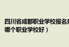 四川省成都职业学校报名条件（2022四川网络信息安全专业哪个职业学校好）