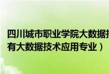 四川城市职业学院大数据技术专业（2022成都哪些职业学校有大数据技术应用专业）