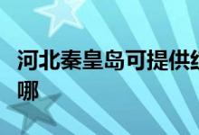 河北秦皇岛可提供红心加湿器维修服务地址在哪