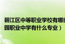 碧江区中等职业学校有哪些专业（2022马边彝族自治县碧桂园职业中学有什么专业）