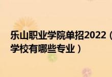 乐山职业学院单招2022（2022乐山市市中区振兴中等职业学校有哪些专业）