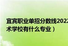 宜宾职业单招分数线2022（2022宜宾市叙州区柳嘉职业技术学校有什么专业）