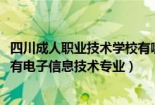 四川成人职业技术学校有哪些专业（2022四川哪些职业学校有电子信息技术专业）