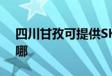 四川甘孜可提供SKG加湿器维修服务地址在哪