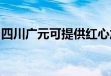 四川广元可提供红心加湿器维修服务地址在哪