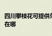 四川攀枝花可提供荣事达电风扇维修服务地址在哪